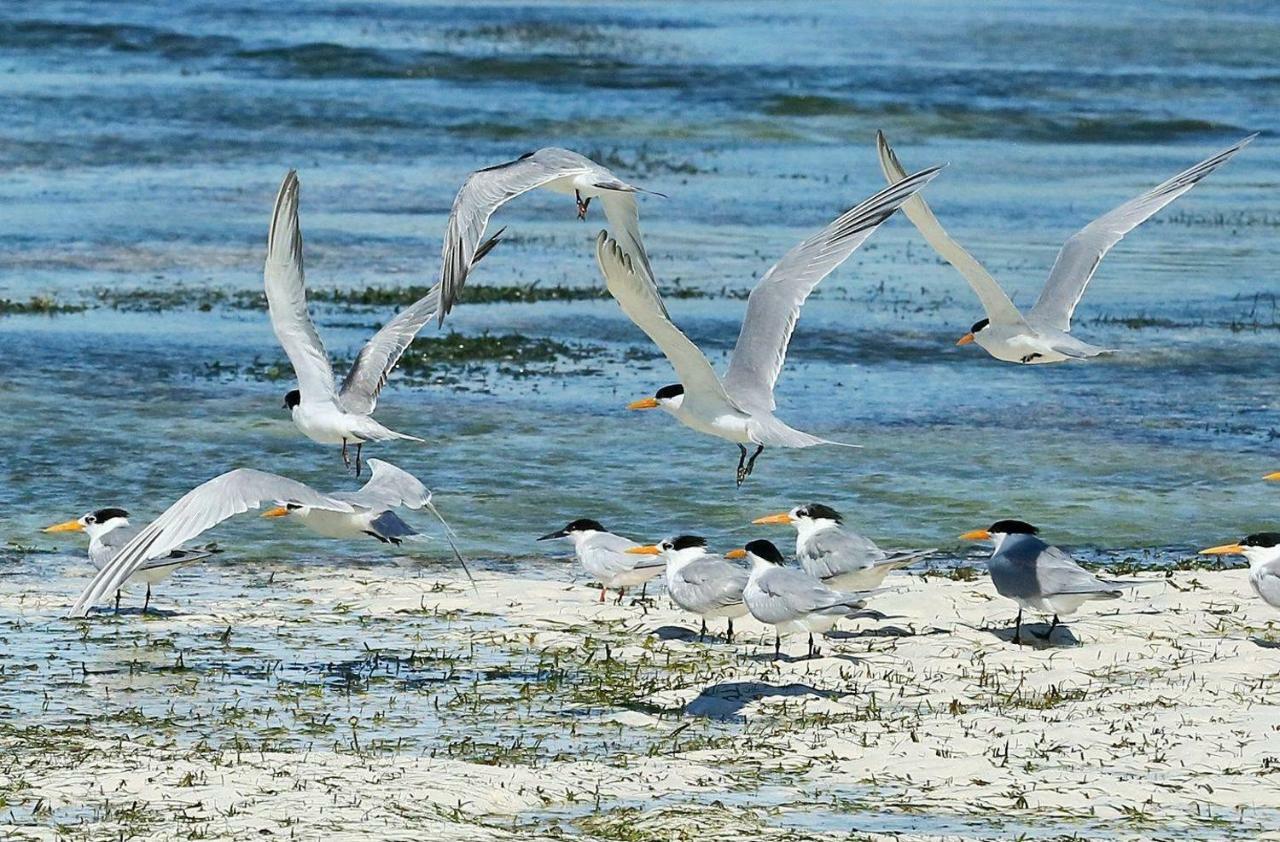 Rafiki Village Watamu Zewnętrze zdjęcie