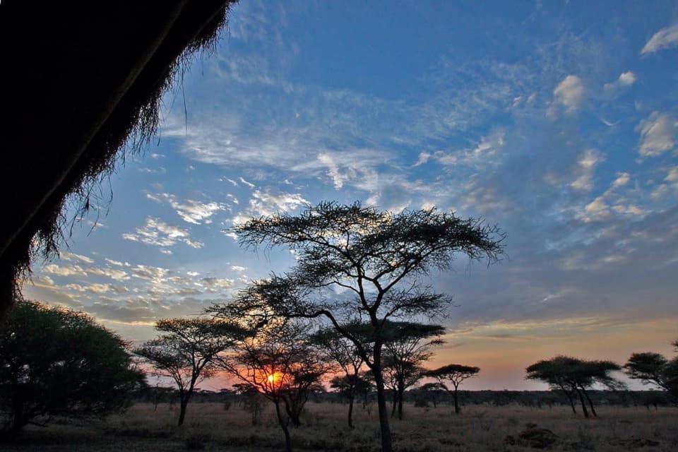 Rafiki Village Watamu Zewnętrze zdjęcie